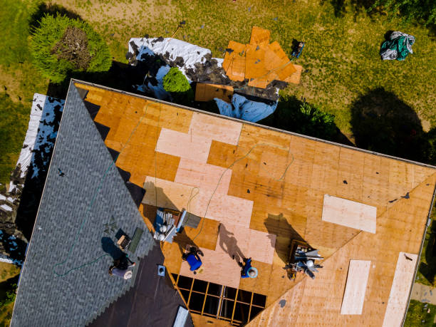 Roof Gutter Cleaning in Newburgh Heights, OH