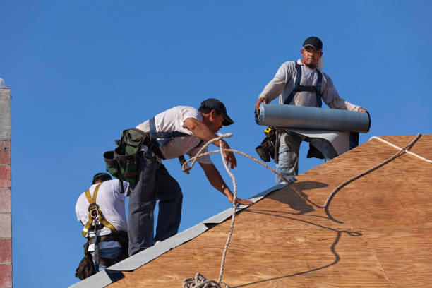 Best Metal Roofing Contractor  in Newburgh Heights, OH